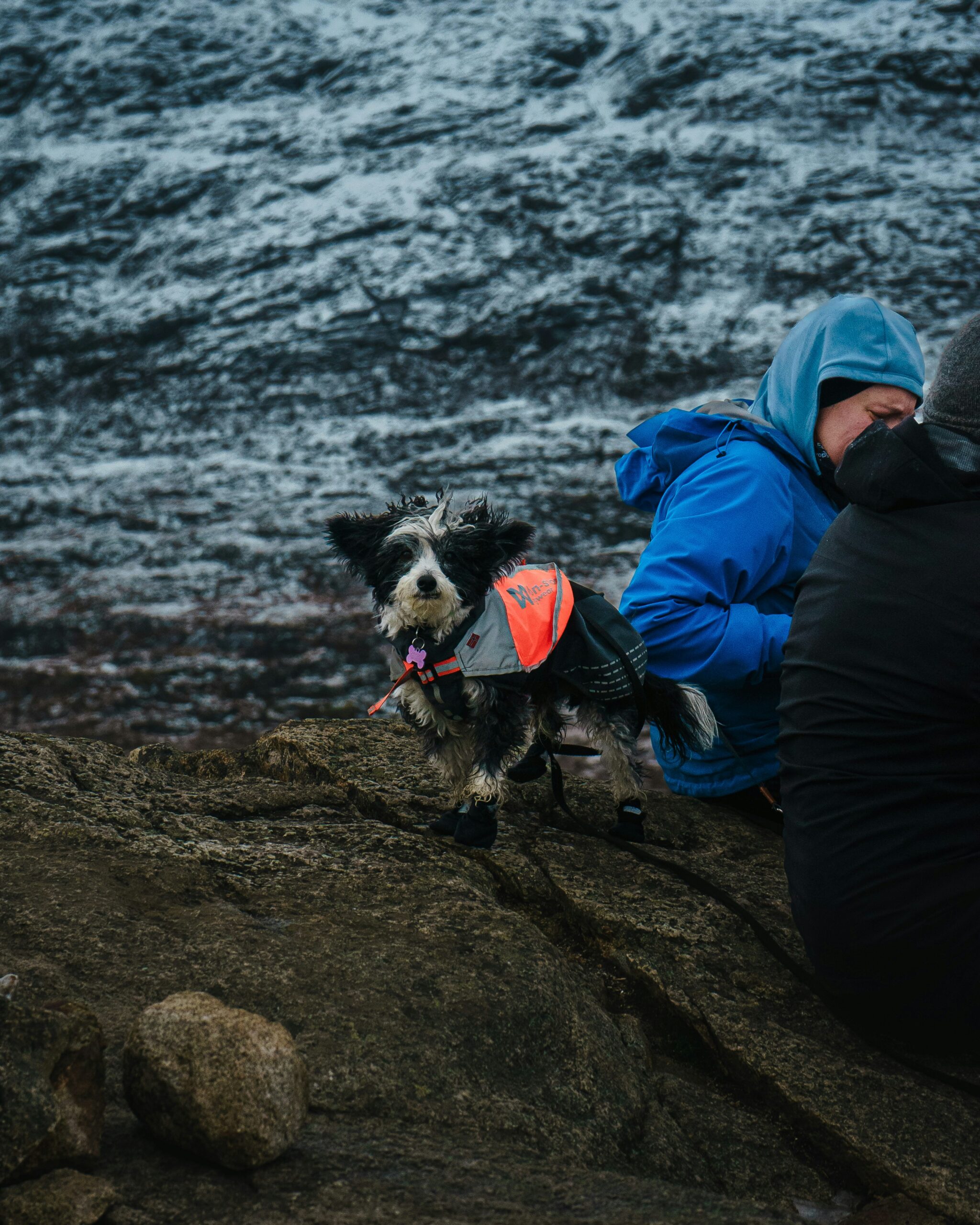 a person sitting on a rock with a dog